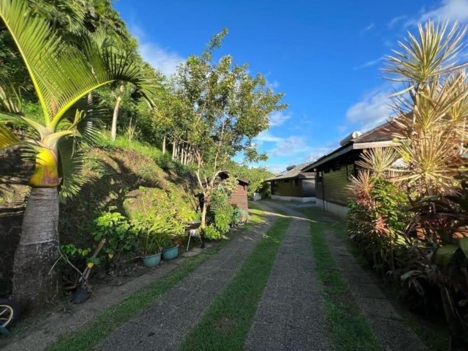 Tehuarupe Surf Studios Haapiti Dış mekan fotoğraf