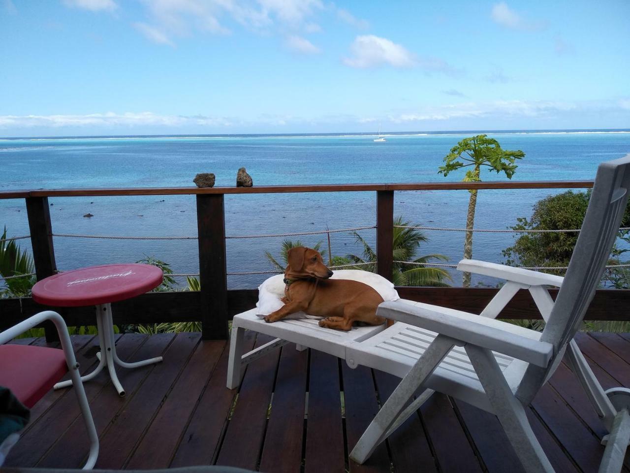 Tehuarupe Surf Studios Haapiti Dış mekan fotoğraf